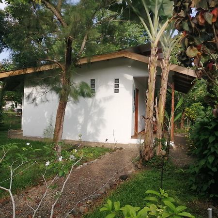 Cabinas Los Tucanes Cahuita Kültér fotó