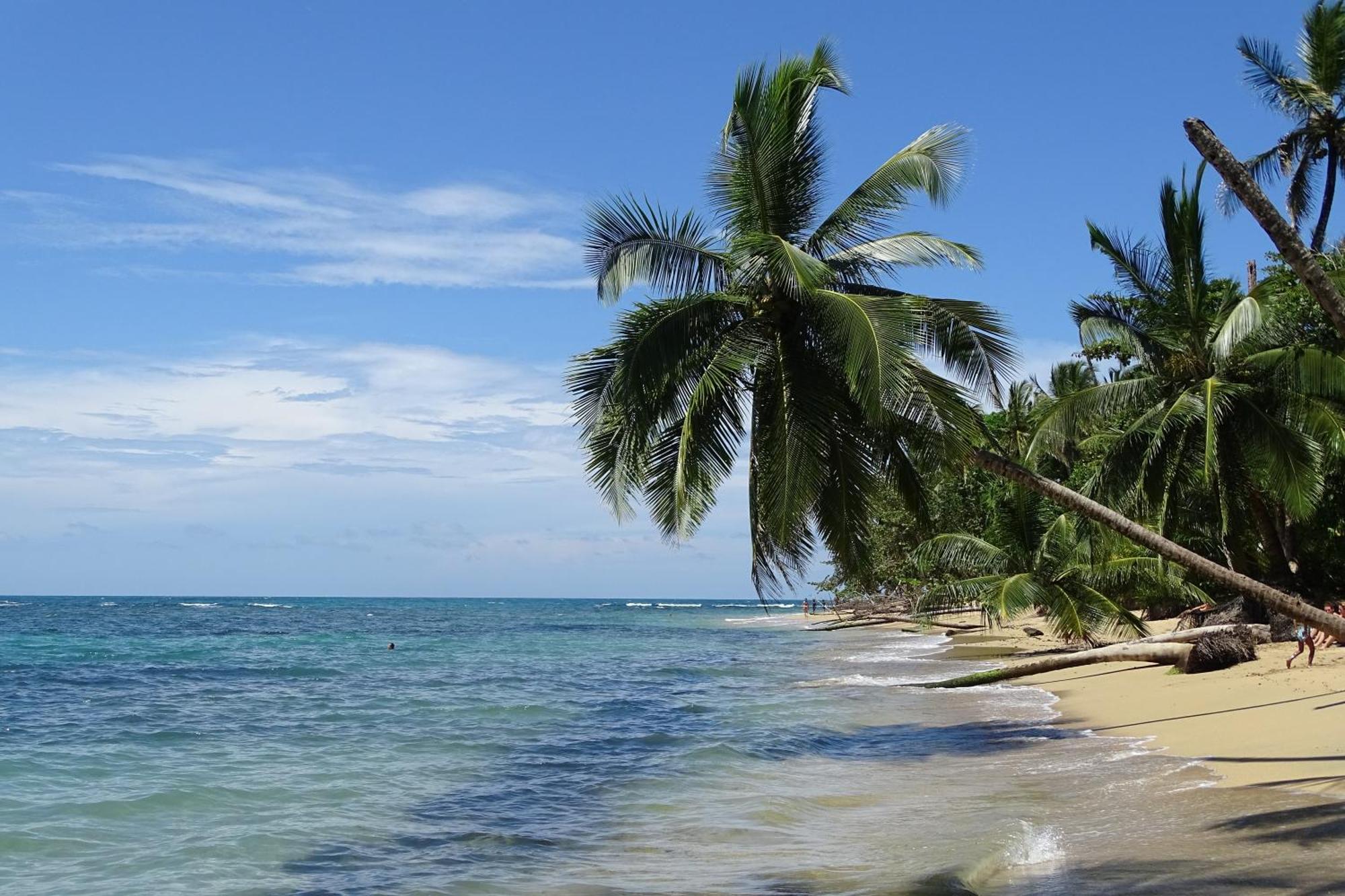 Cabinas Los Tucanes Cahuita Kültér fotó