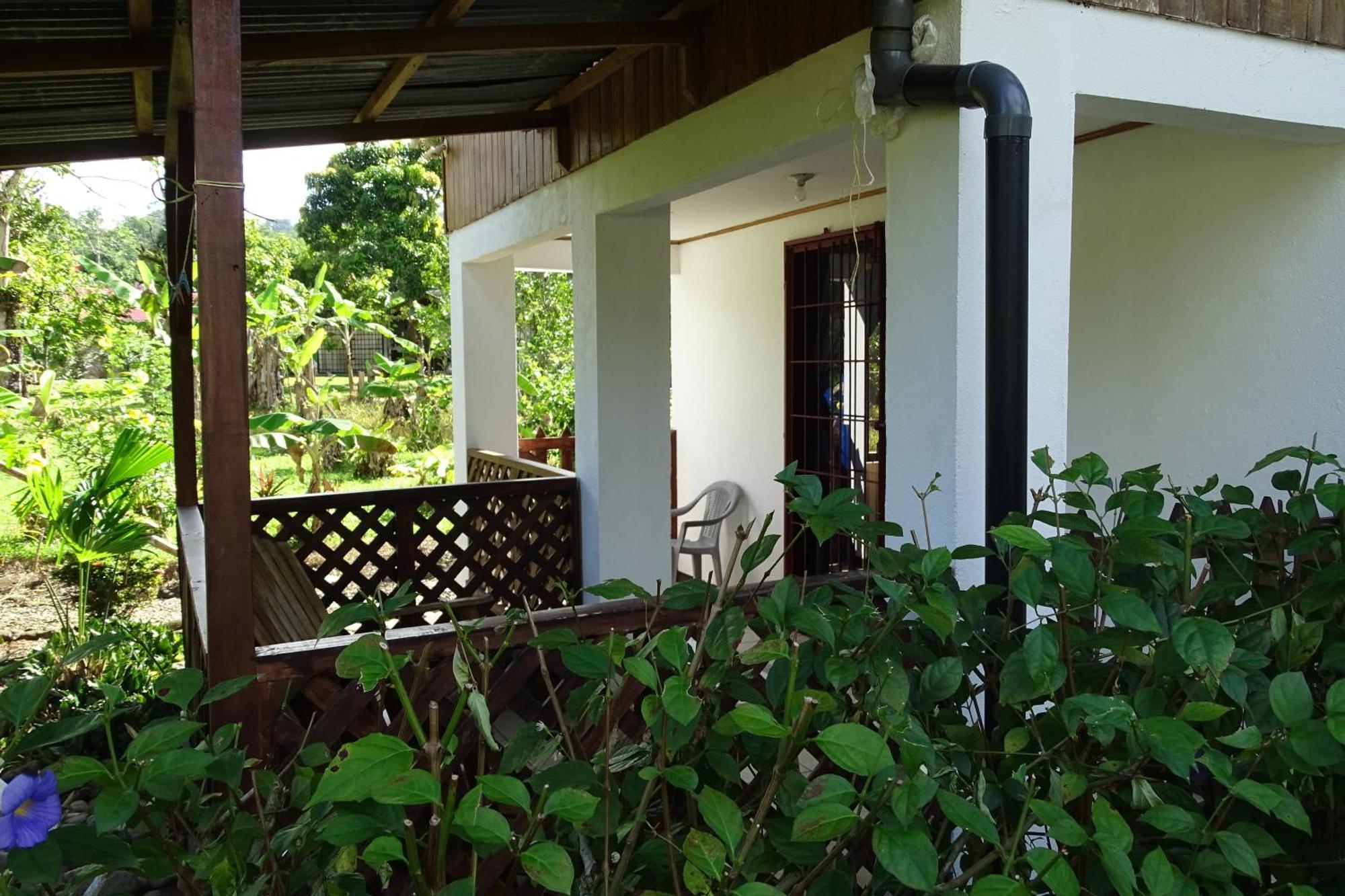 Cabinas Los Tucanes Cahuita Kültér fotó