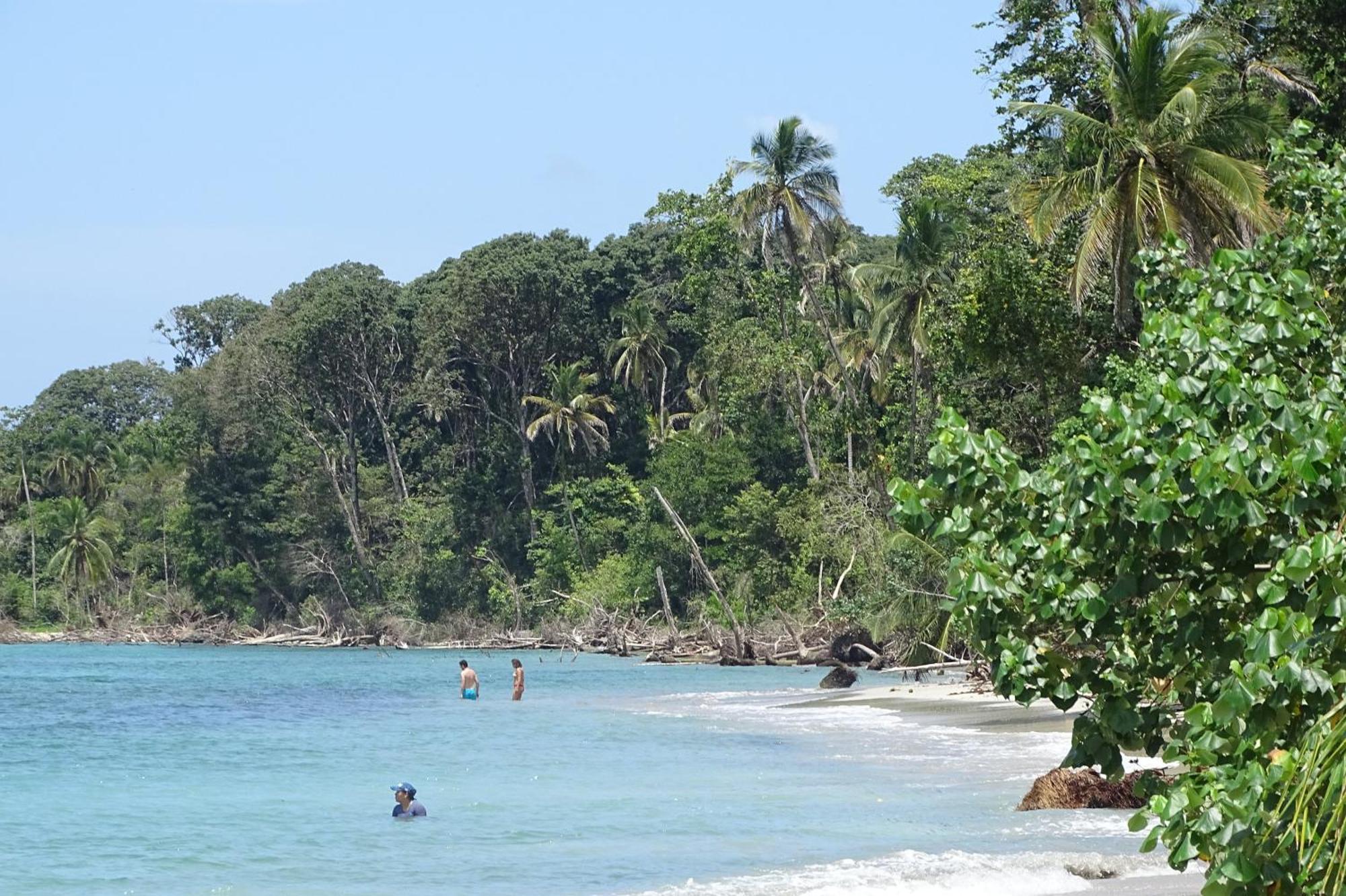 Cabinas Los Tucanes Cahuita Kültér fotó