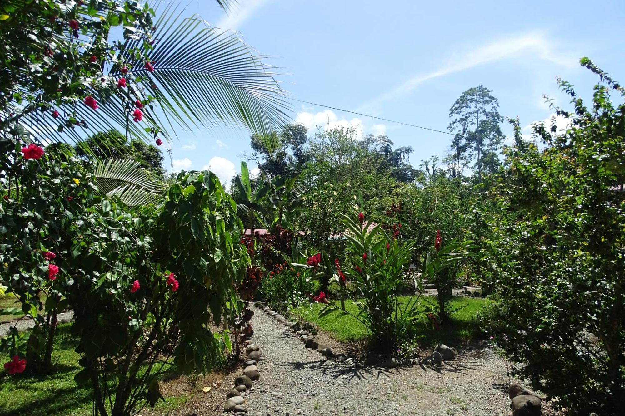 Cabinas Los Tucanes Cahuita Kültér fotó
