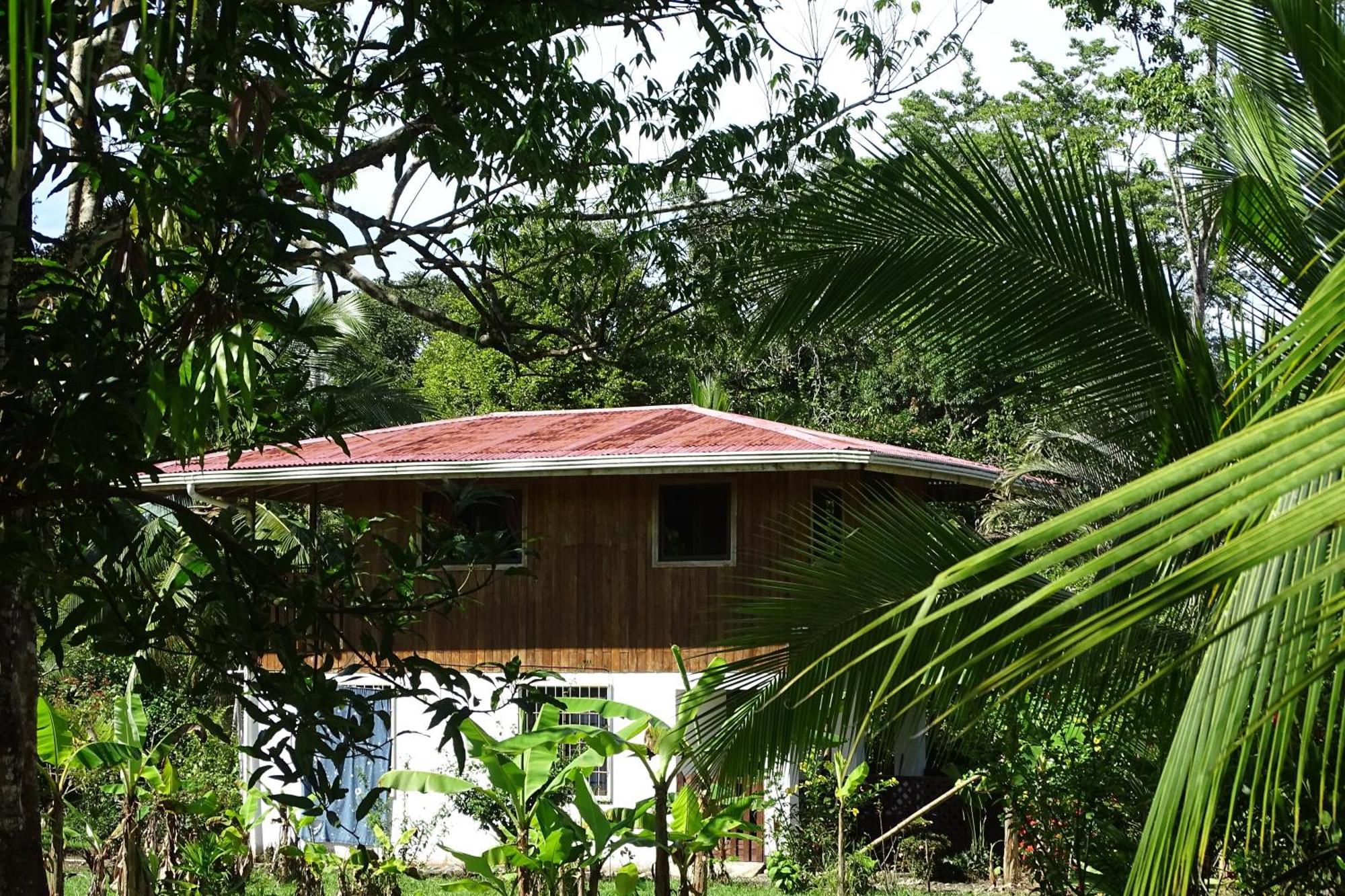 Cabinas Los Tucanes Cahuita Kültér fotó