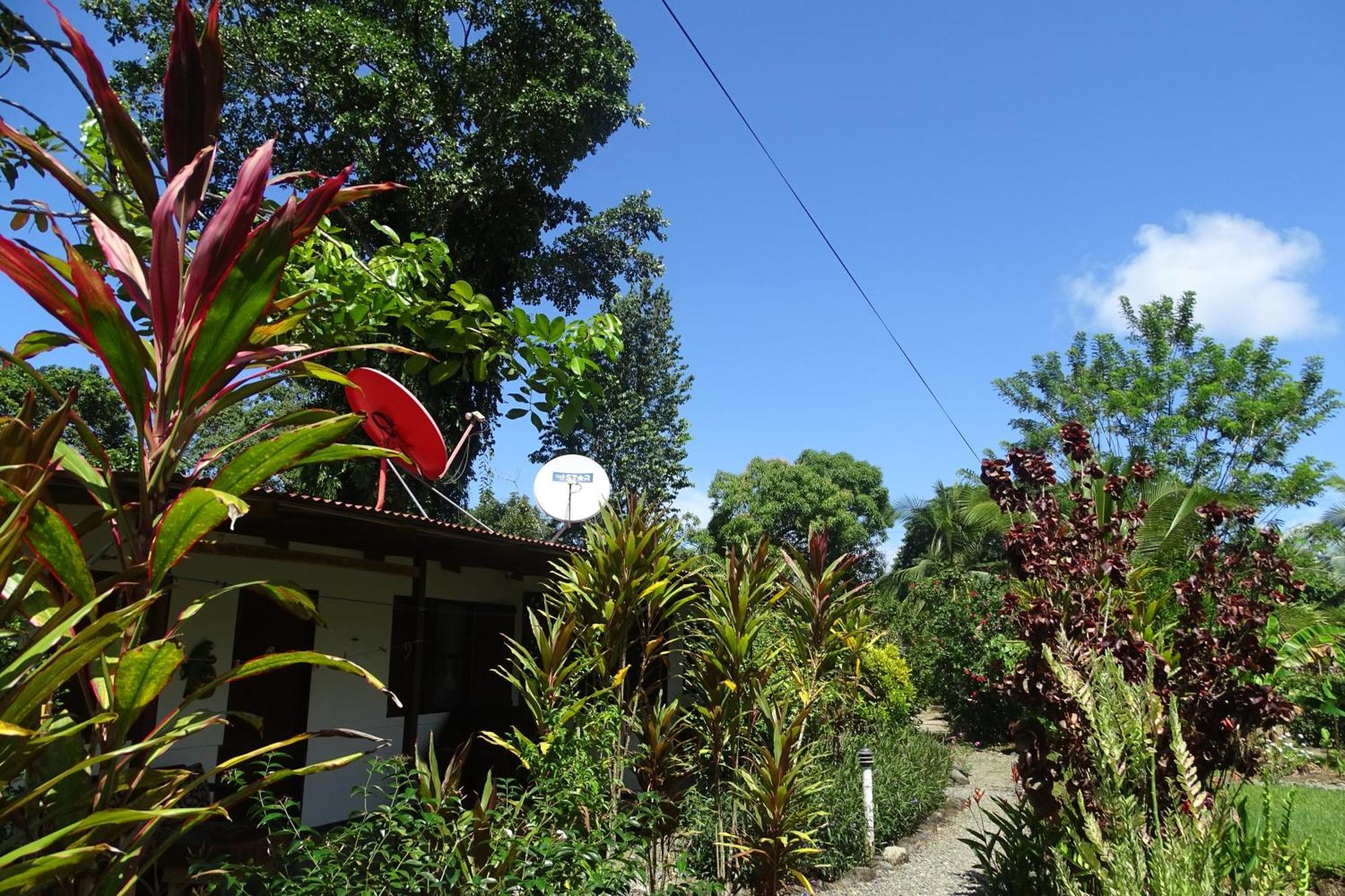 Cabinas Los Tucanes Cahuita Kültér fotó