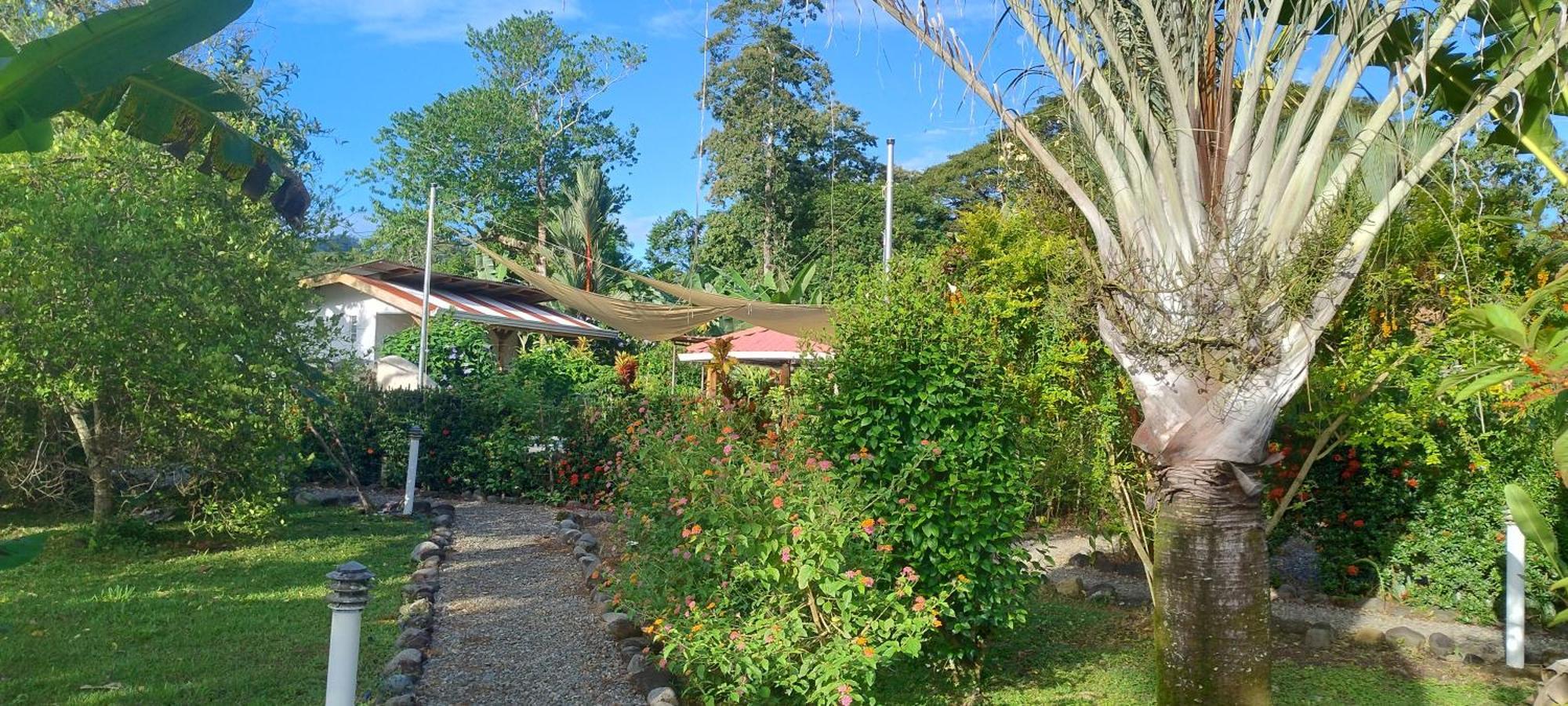 Cabinas Los Tucanes Cahuita Kültér fotó